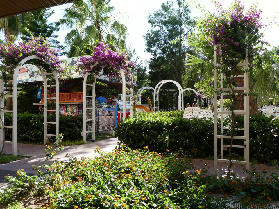 "Gartenanlage" PrimaSol Hane Garden (Evrenseki) • HolidayCheck