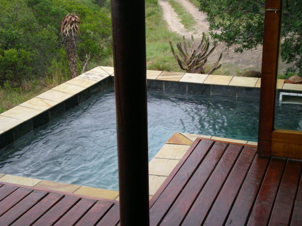 Kleiner Pool Auf Der Terrasse Kariega Game Reserve Kenton On Sea Holidaycheck Ostkap Sudafrika