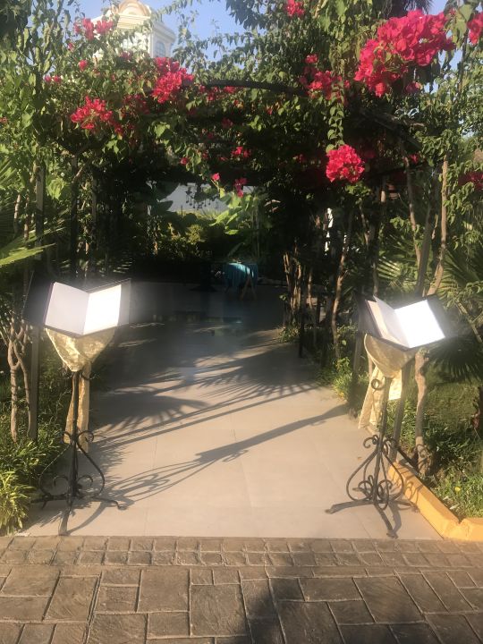 "Gartenanlage" Delphin BE Grand (Lara) • HolidayCheck (Türkische