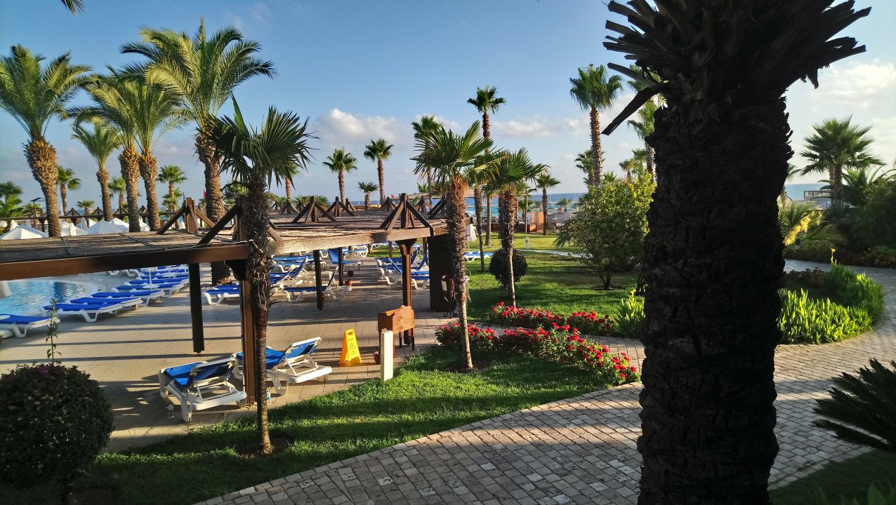 "Pool" TUI BLUE Palm Garden (Manavgat Kizilagac) • HolidayCheck