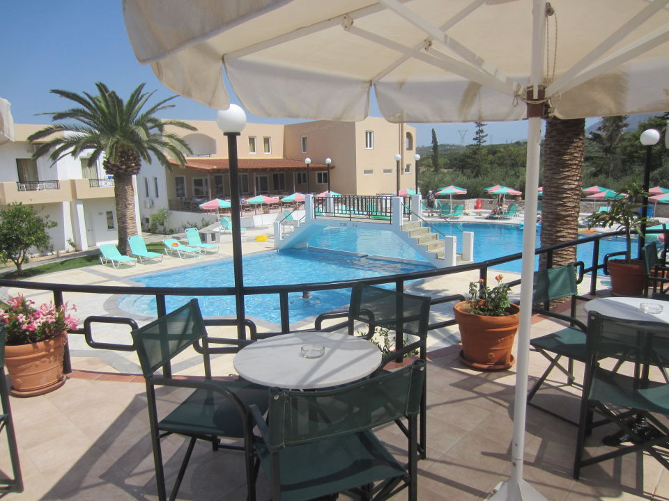 Pool Vardis Olive Garden Georgioupolis Holidaycheck Kreta
