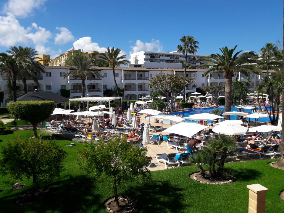"Gartenanlage" Alcudia Garden Aparthotel (Alcudia) • HolidayCheck