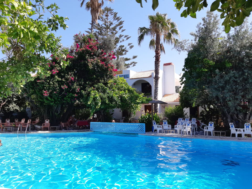 "Pool" Oasis Hotel & Bungalows Rhodos (Afandou) • HolidayCheck (Rhodos