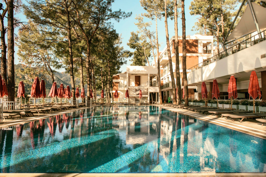 Orca lotus beach hotel