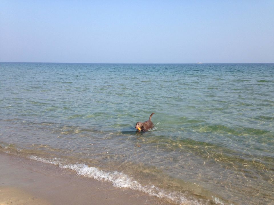 "Urlaub mit dem Hund" Hotel Gran Belveder (Scharbeutz) • HolidayCheck