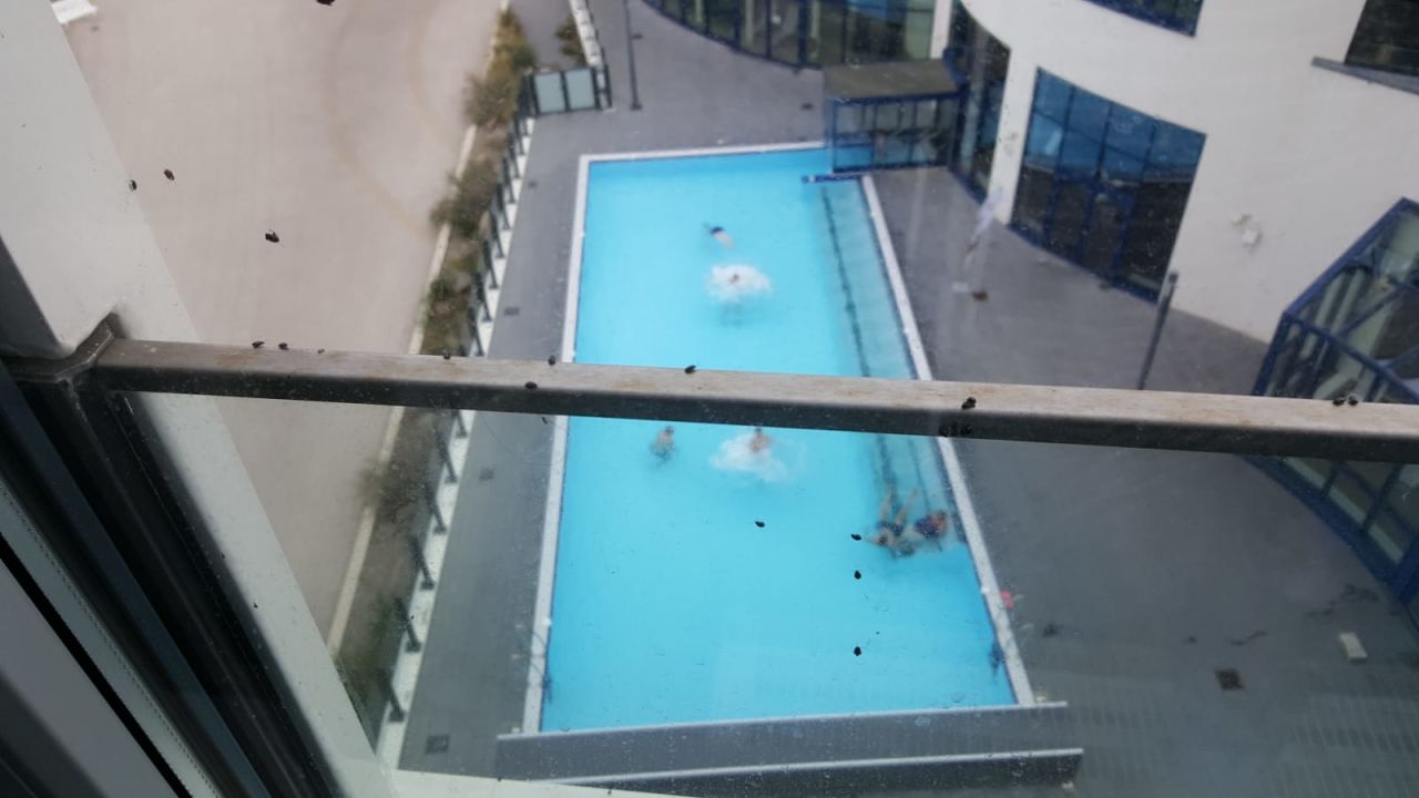 "Sonstiges" aja Warnemünde (Rostock -Warnemünde ...