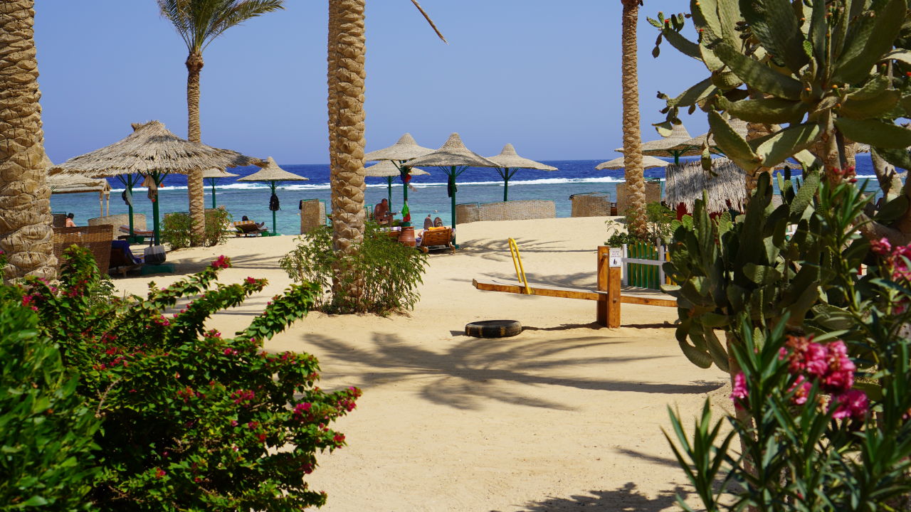 "Strand" Flamenco Beach & Resort (El Quseir) • HolidayCheck (Marsa Alam