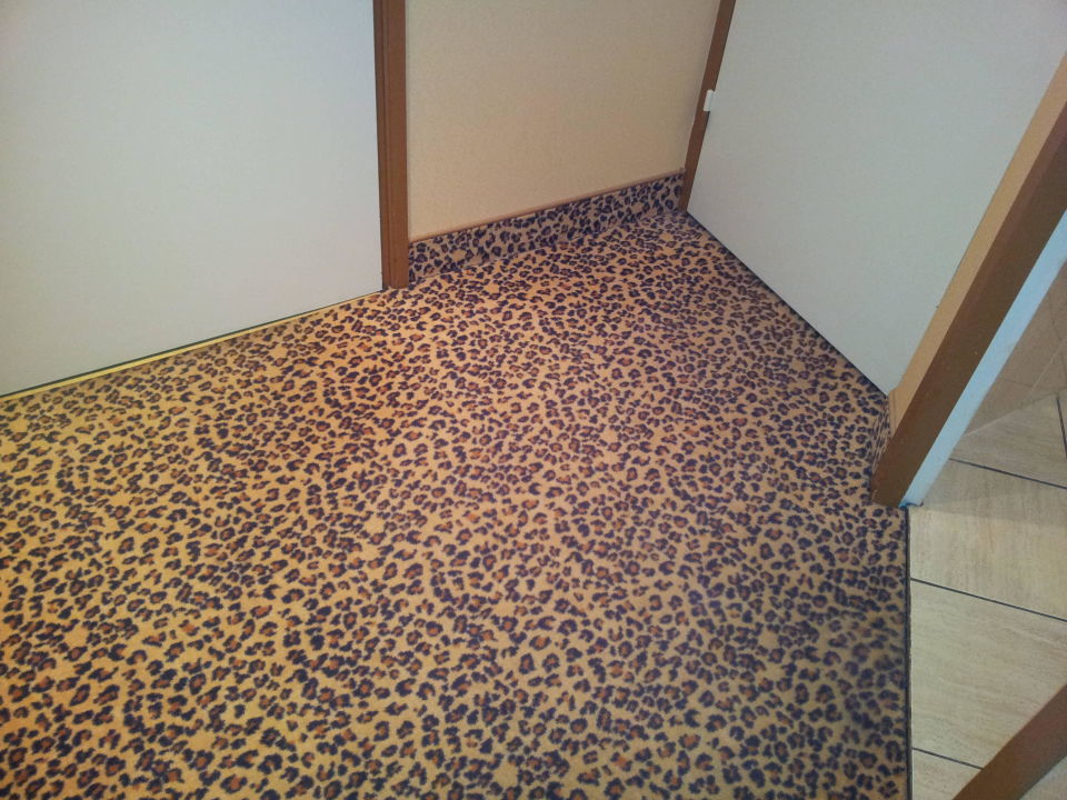 Leoparden Teppich Hotel L Europe Colmar Holidaycheck Elsass