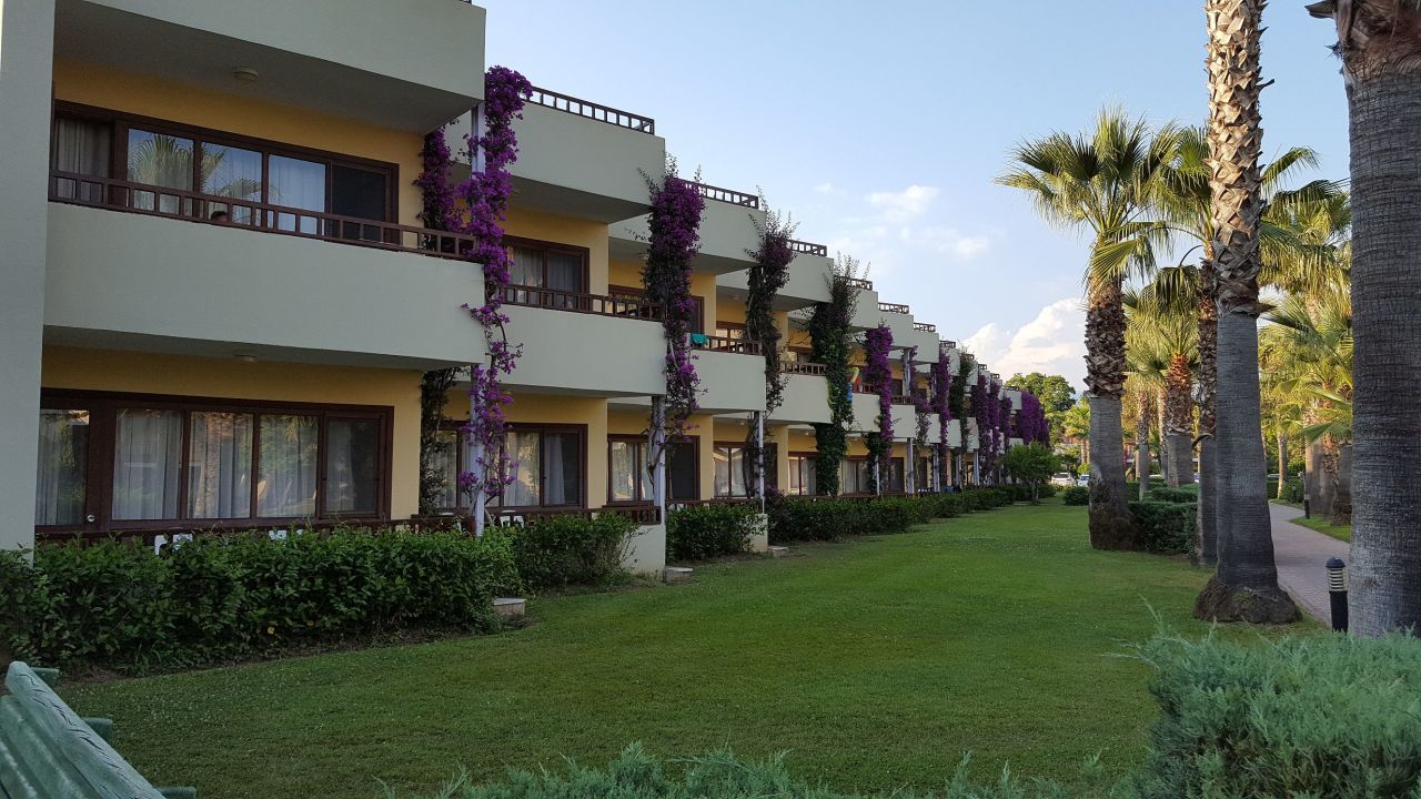 Турция club tuana fethiye 5 фото