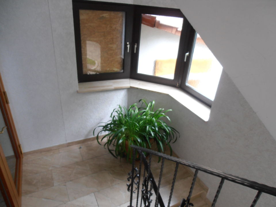 "Pflanze im Treppenhaus" Hotel Zum Löwen (Bad Staffelstein