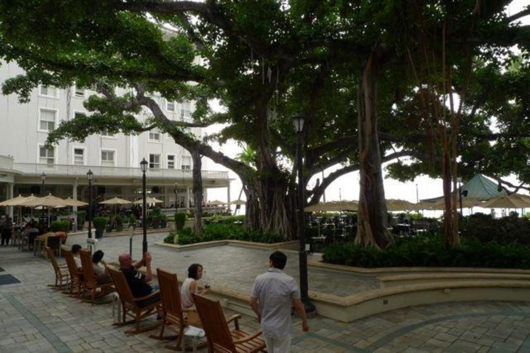 Um Den Banyan Tree Hotel Moana Surfrider A Westin Resort And Spa Waikiki Beach • Holidaycheck
