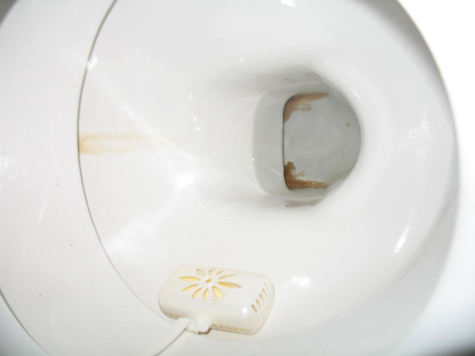 Wc Becken wc becken 1 picture of hotel romulus rome Wc Becken wc becken 1 picture of hotel romulus rome