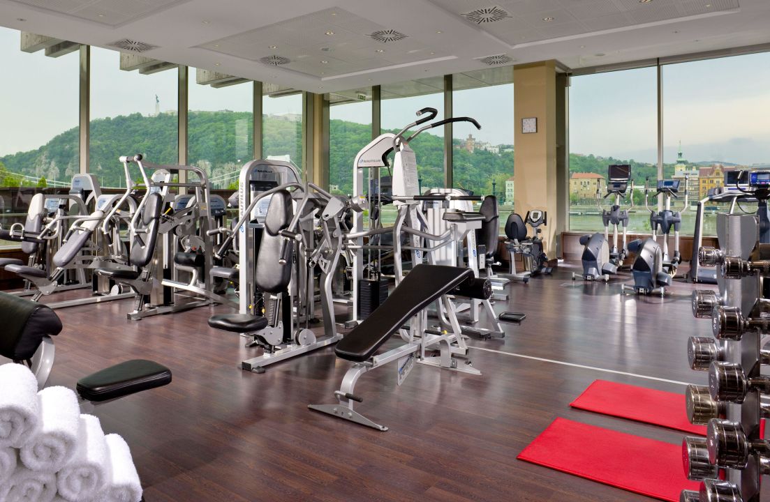 "World Class Fitnessraum mit Ausblick auf Donau" Hotel ...