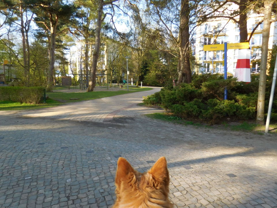 &quot;Mit Hund im Außenbereich&quot; IFA Rügen Hotel &amp; Ferienpark (Binz auf Rügen