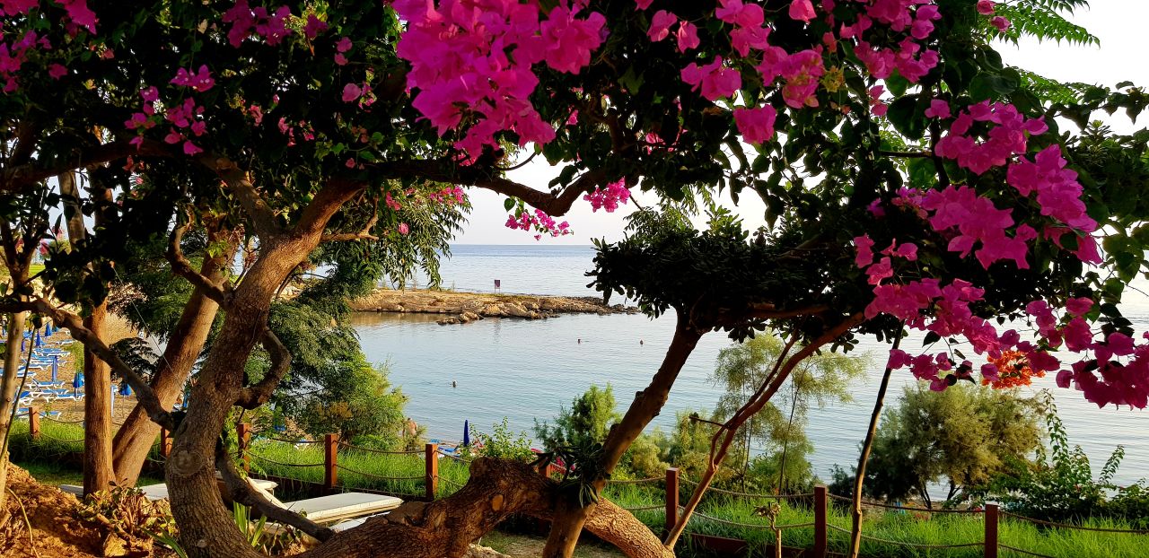 "Gartenanlage" Crystal Springs Beach Hotel (Protaras) • HolidayCheck