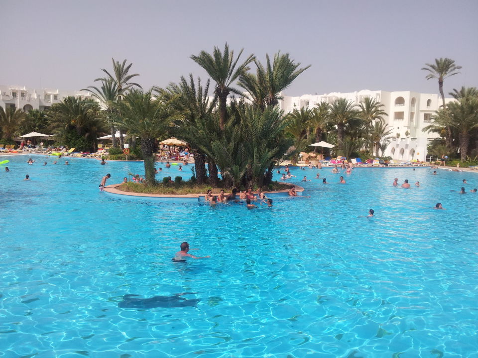 Poolanlage Hotel Djerba Resort Midoun Holidaycheck Djerba Tunesien