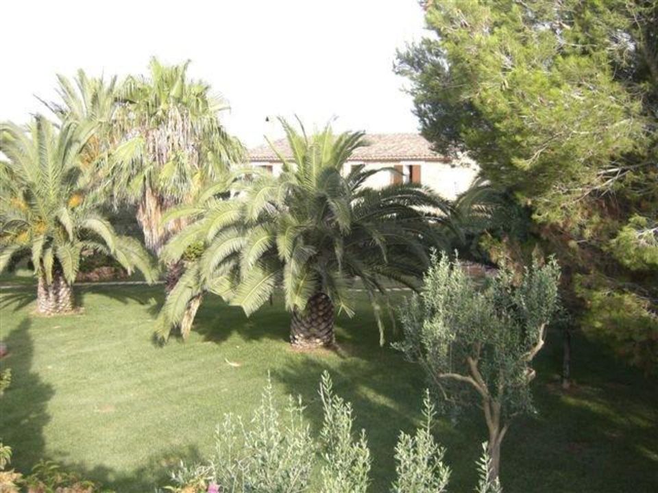 "Blick von der Terrasse" Finca Es Torrent (Campos) • HolidayCheck