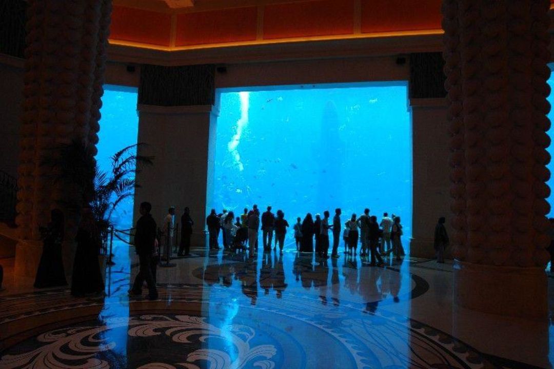 Grosses Aquarium Atlantis The Palm Dubai Holidaycheck