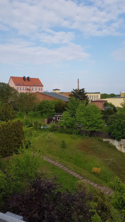 singlebörse hettstedt