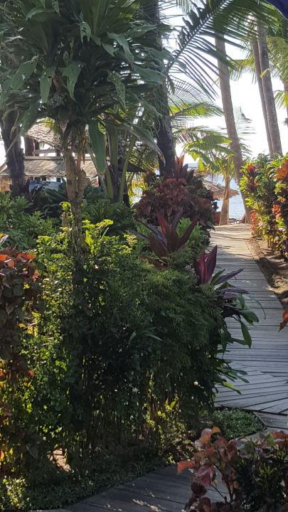 "Gartenanlage" Bayview - the beach resort (Ngapali Beach