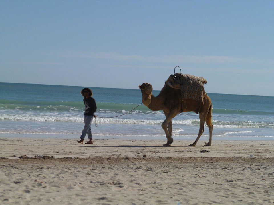 Download Ich warte nicht mehr Desktop Wallpaper Free