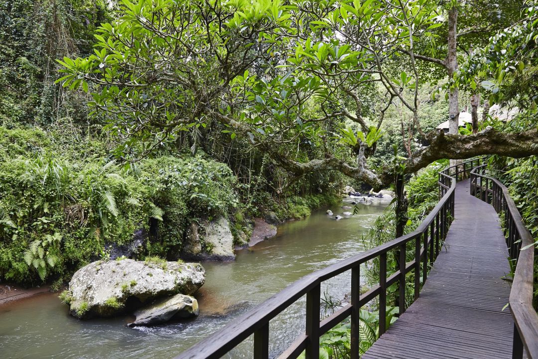  Ausblick Maya Ubud  Resort Spa Bali Ubud  