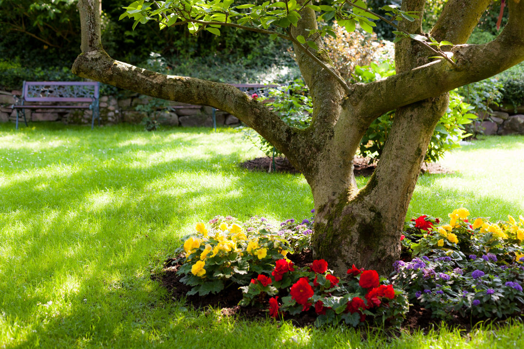 &quot;Garten&quot; Hotel Schlossgarten Neustrelitz (Neustrelitz