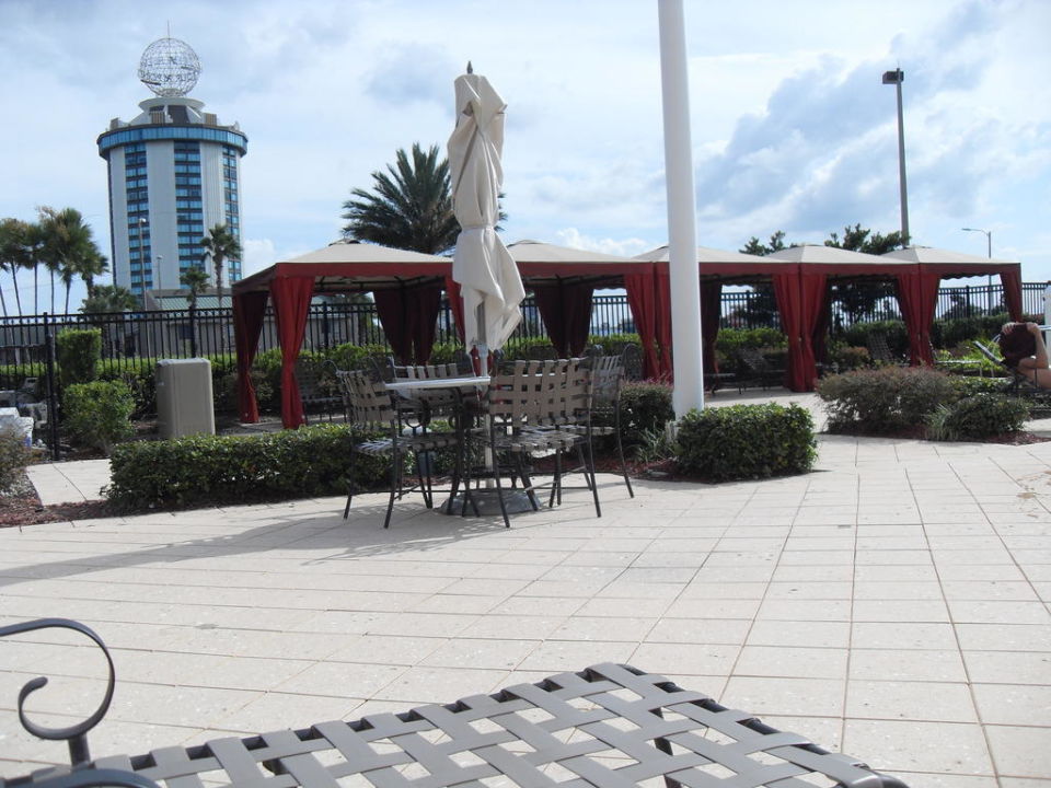 Liegen Am Pool Hotel Hilton Garden Inn Orlando International