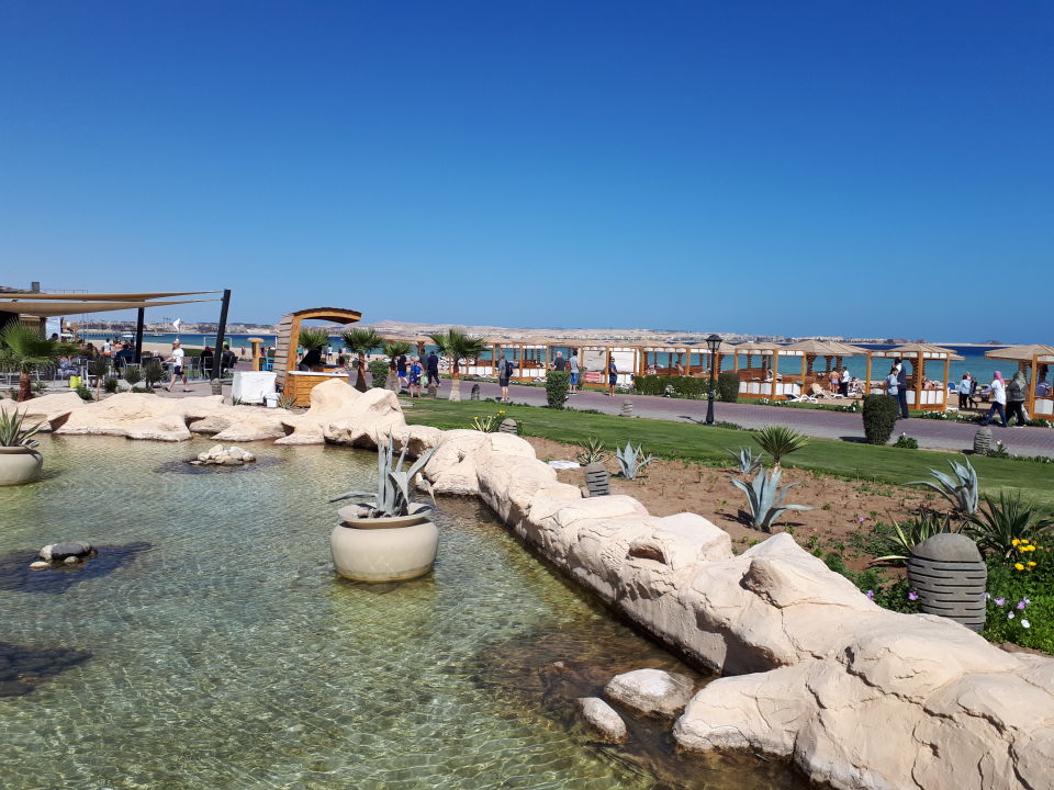 Tropitel sahl hasheesh 5 фото