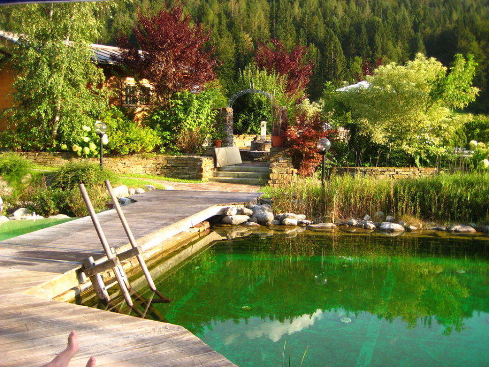 "Naturschwimmteich/ Pool" Hotel Vitaloase zu den drei Brüdern (Unken
