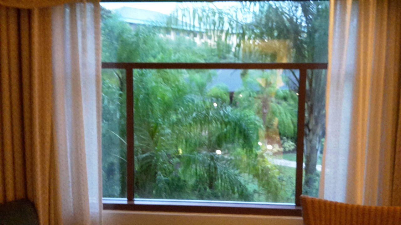 Ausblick In Den Garten Hotel Loews Royal Pacific Resort At