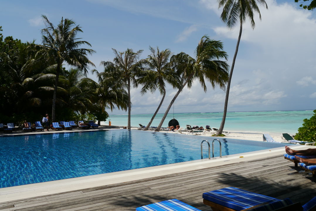 Pool Meeru Island Resort And Spa Dhifushi • Holidaycheck Kaafu Atoll