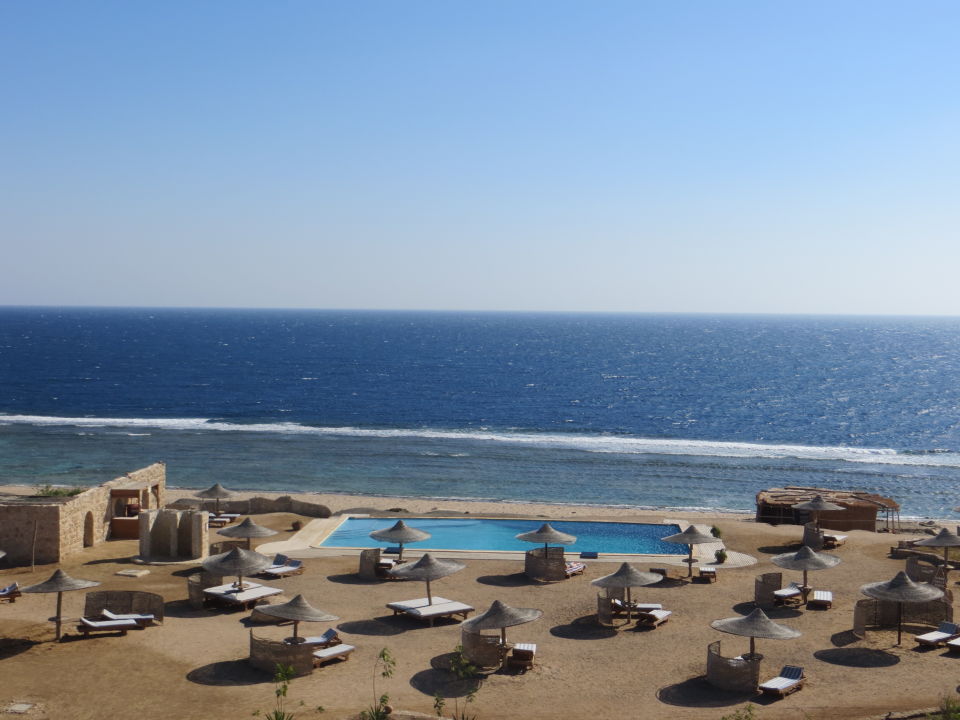 "Pool" The Oasis Dive Resort (Marsa Alam) • HolidayCheck (Marsa Alam/El
