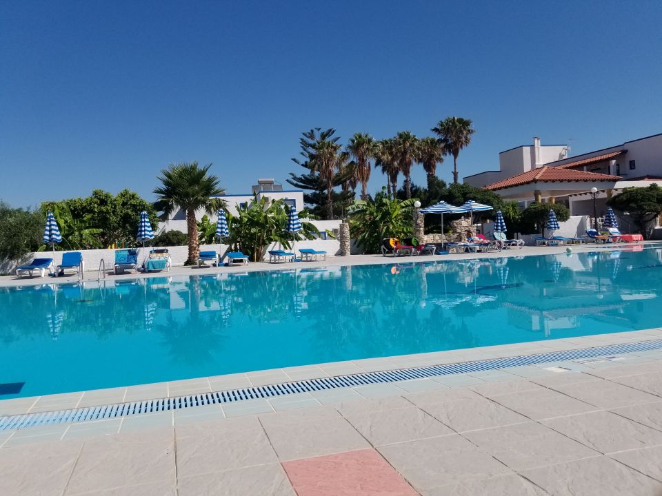  Pool  Hotel Tigaki s Star  Tigaki      HolidayCheck  Kos Griechenland 