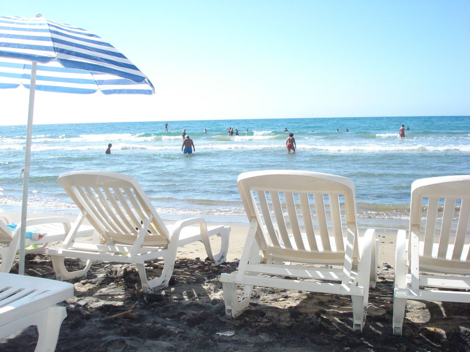 Raczej Wąska Często Glony La Plage Noire Resort Sorso