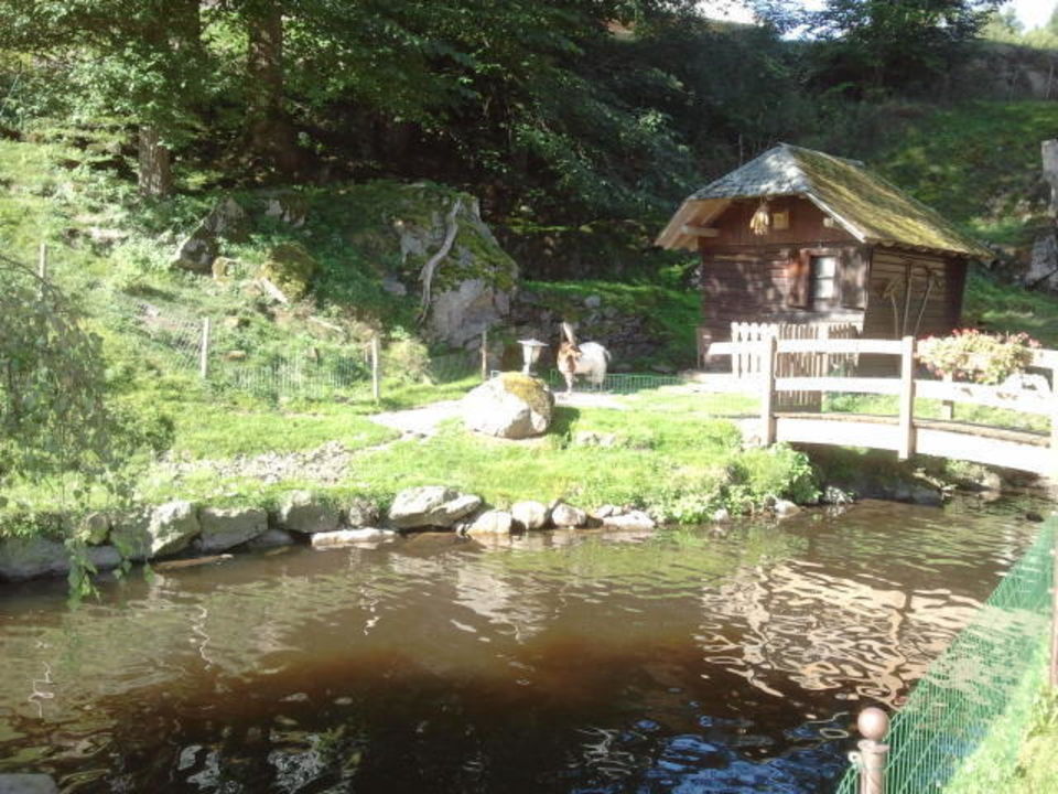 "Blick von der Terrasse" Hotel Kesslermühle (Hinterzarten