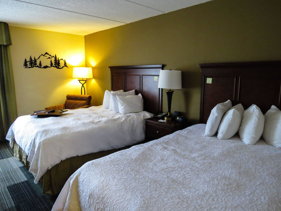 Zimmer Mit 2 Queen Betten Hotel Hampton Inn Suites Pigeon