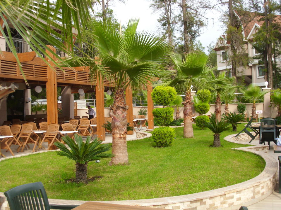 Dizalya palm garden фото