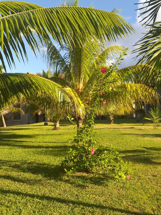 "Gartenanlage" Maritim Crystals Beach Hotel Mauritius (Belle Mare