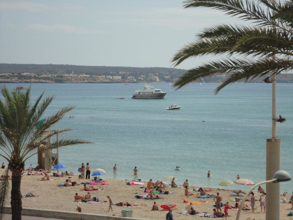 Blick Auf Den Strand Am Ballermann 9 Grupotel Acapulco Playa