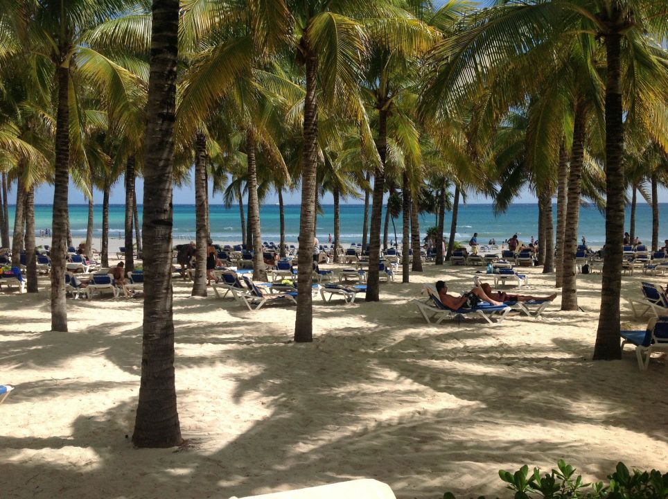 "Schatten unter Palmen am Strand" Hotel Riu Palace Riviera Maya (Playa