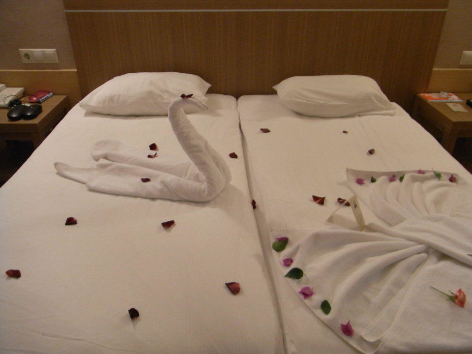 einladung zum kuscheln