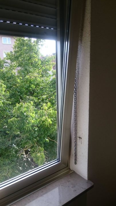 Fenster Saarbrücken