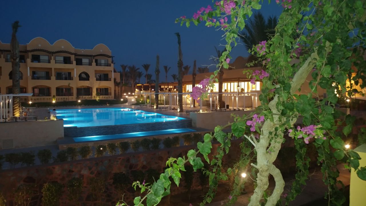 "Gartenanlage" Jaz Solaya (Marsa Alam) • HolidayCheck (Marsa Alam/El