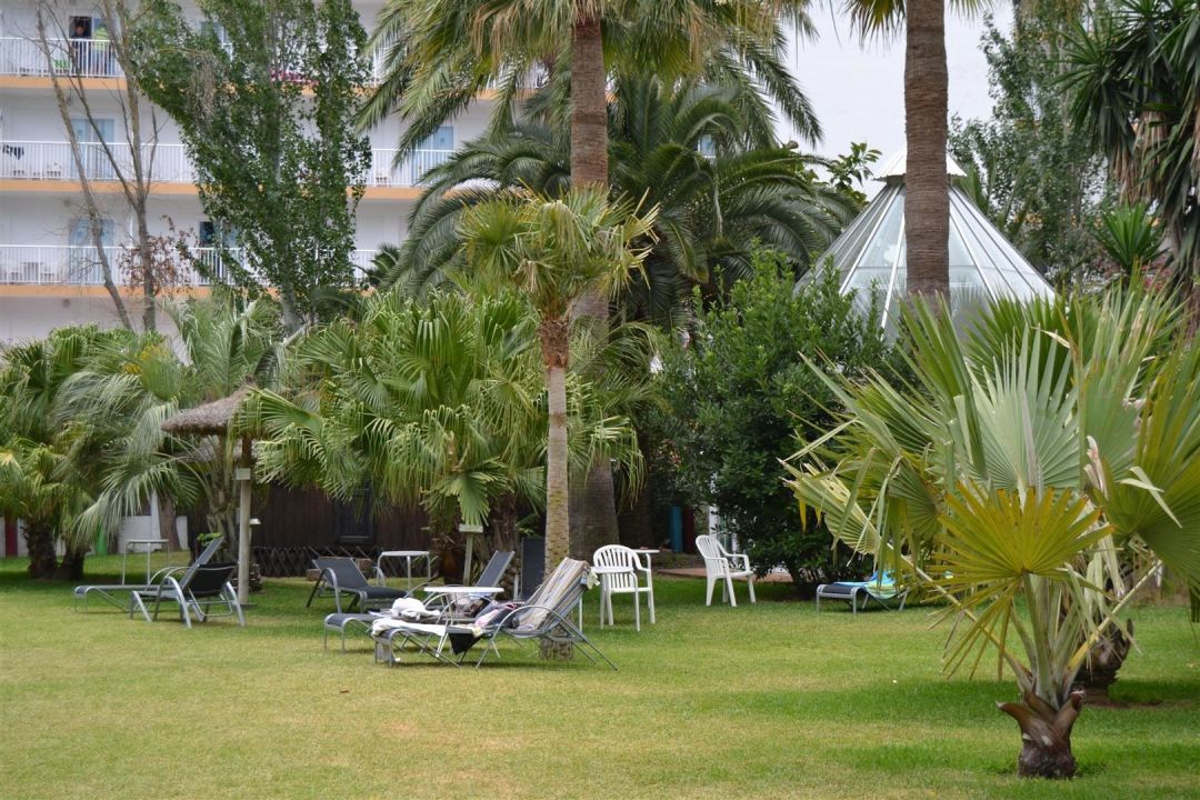 &quot;Liegewiese im Garten&quot; Hotel Bahía de Alcúdia (Alcudia