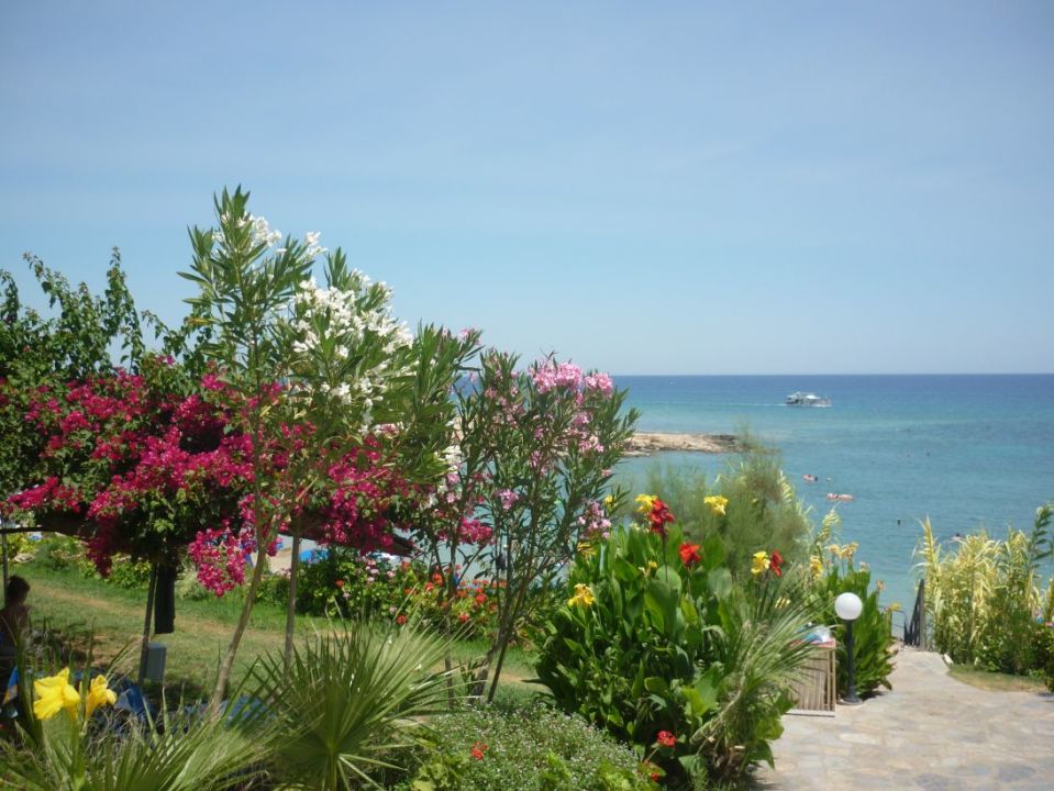 "Gartenanlage" Crystal Springs Beach Hotel (Protaras) • HolidayCheck