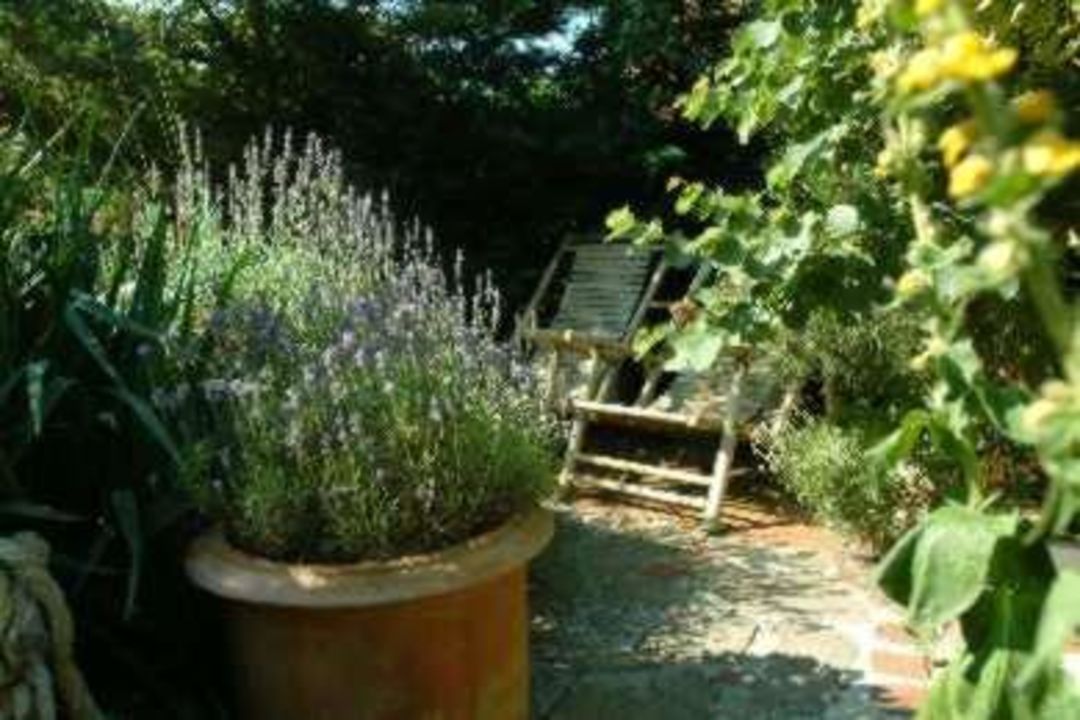 Gastegarten Pension Haus Maike Juist Holidaycheck