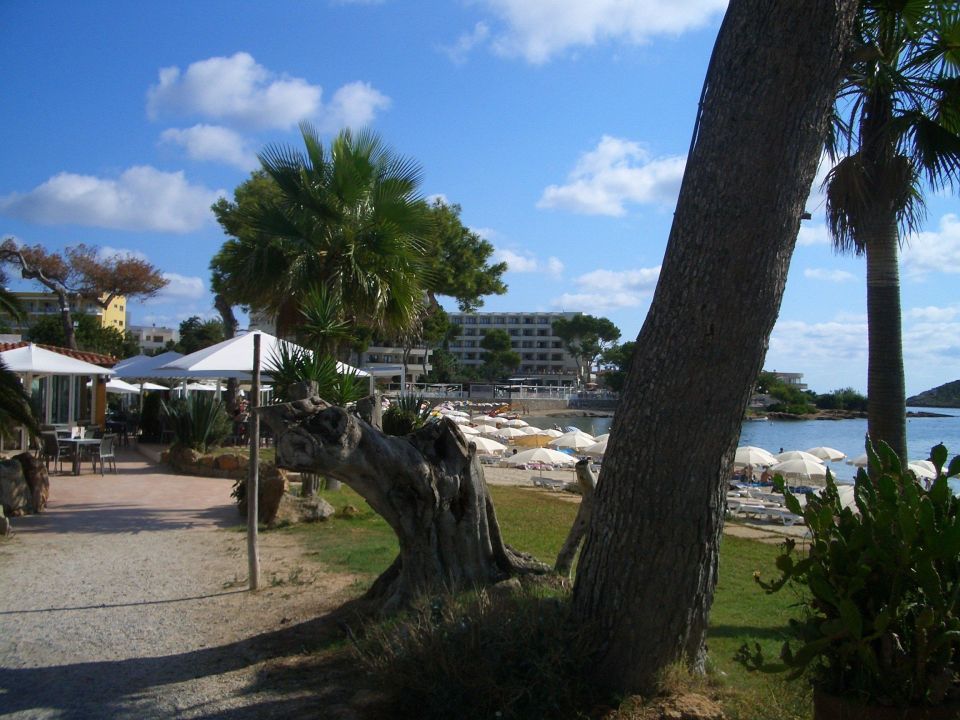 Get Strandpromenade dekorationen For iPhone