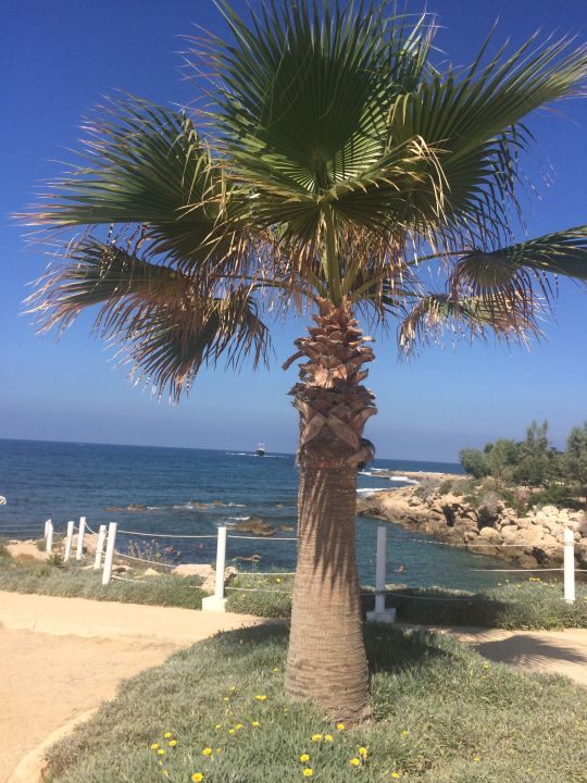 "Strand" Akti Beach Village Resort (Chloraka ...