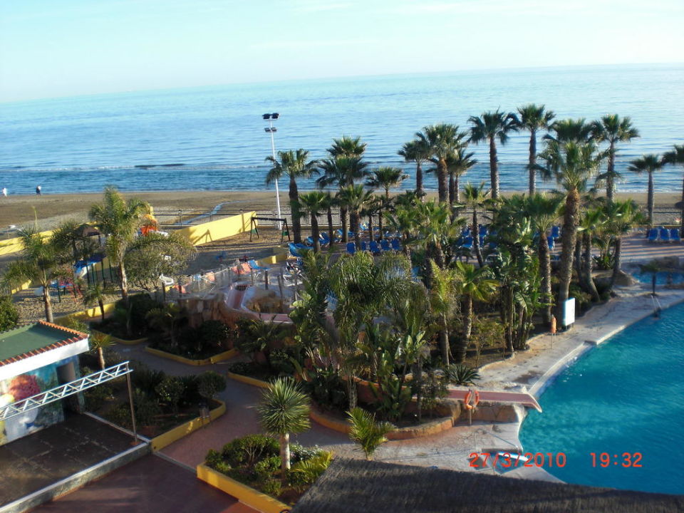 "Pool mit Blick auf den Strand" Hotel Marbella Playa ...